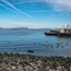 Manhattan From Staten Island