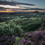 Roseberry Topping and Gribdale Terrace